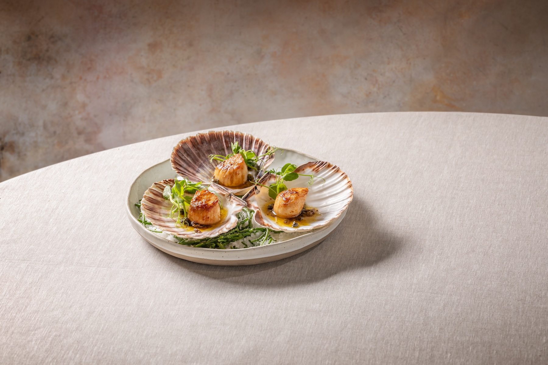 Scallops in shell